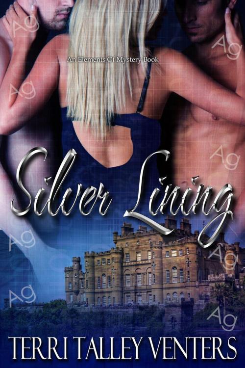 Cover of the book Silver Lining by Terri Talley Venters, Terri Talley Venters