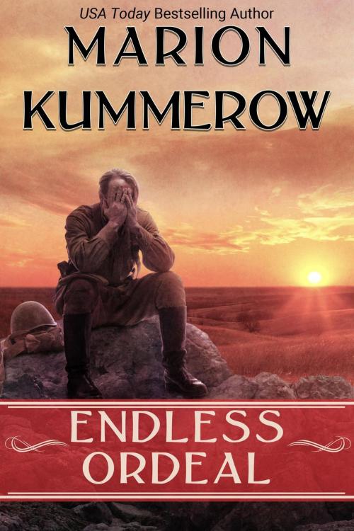 Cover of the book Endless Ordeal by Marion Kummerow, Marion Kummerow