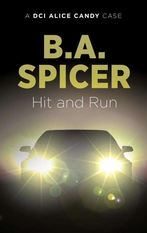 Cover of the book Hit and Run by Bev Spicer, Bev Spicer