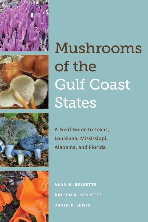 Cover of the book Mushrooms of the Gulf Coast States by Alan E. Bessette, Arleen F. Bessette, David P.  Lewis, University of Texas Press