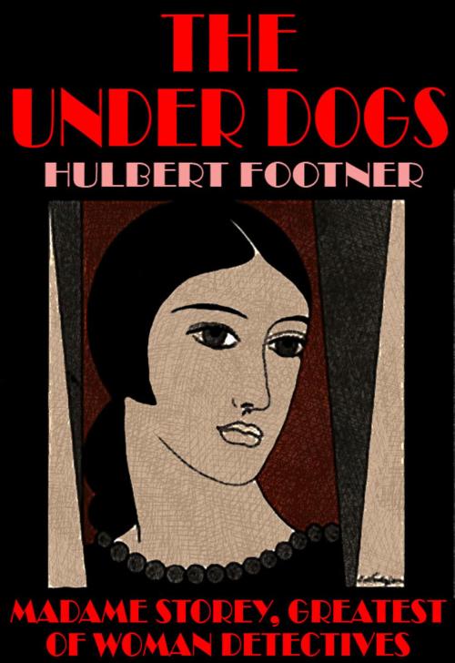 Cover of the book The Under Dogs by Hulbert Footner, Wildside Press LLC