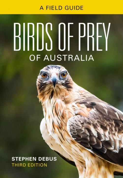 Cover of the book Birds of Prey of Australia by Stephen Debus, CSIRO PUBLISHING