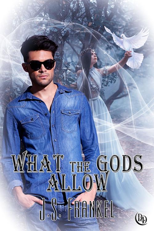 Cover of the book What The Gods Allow by J.S. Frankel, eXtasy Books Inc