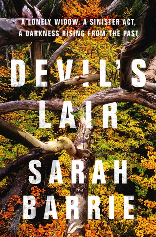 Cover of the book Devil's Lair by Sarah Barrie, HarperCollins