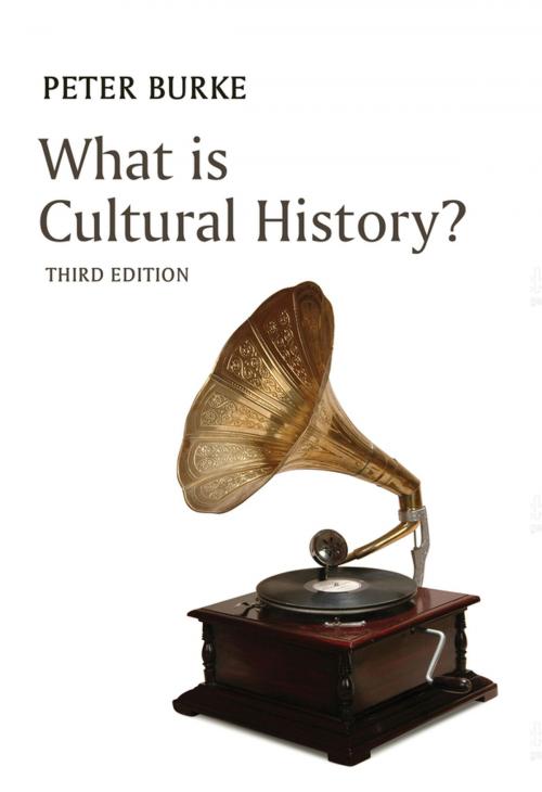 Cover of the book What is Cultural History? by Peter Burke, Wiley