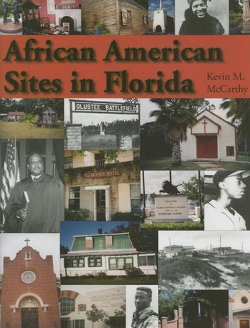 Cover of the book African American Sites in Florida by Kevin M McCarthy, Pineapple Press