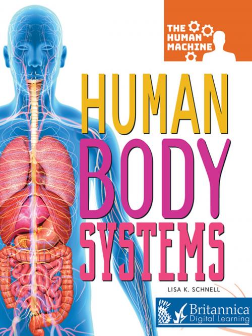 Cover of the book Human Body Systems by Lisa K. Schnell, Britannica Digital Learning