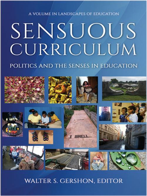 Cover of the book Sensuous Curriculum by , Information Age Publishing