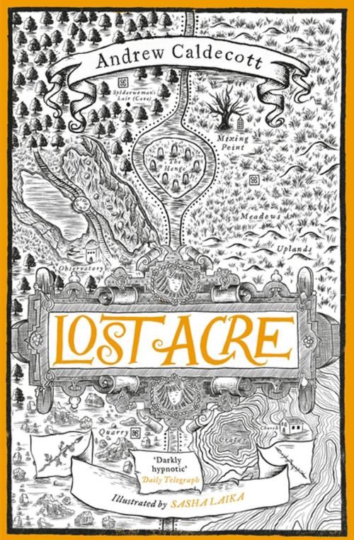 Cover of the book Lost Acre by Andrew Caldecott, Quercus