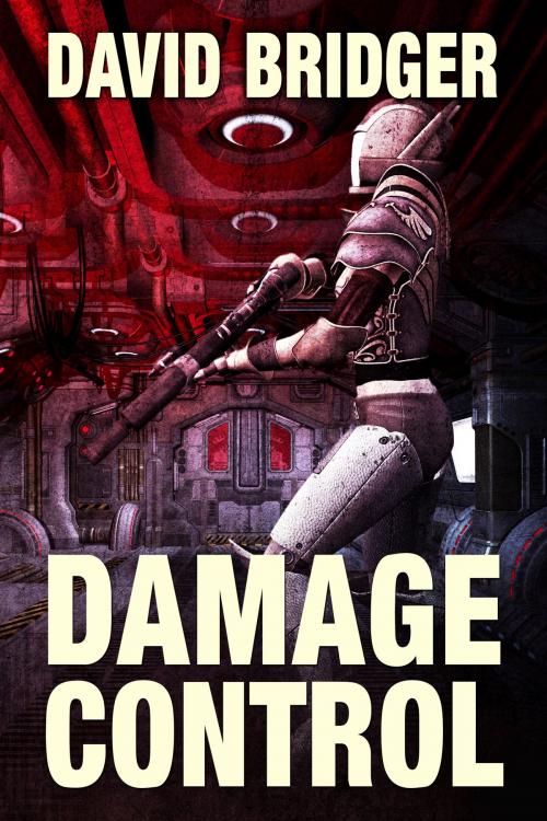 Cover of the book Damage Control by David Bridger, Beaten Track Publishing