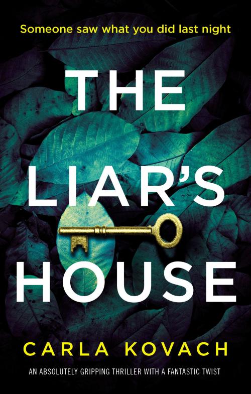 Cover of the book The Liar's House by Carla Kovach, Bookouture