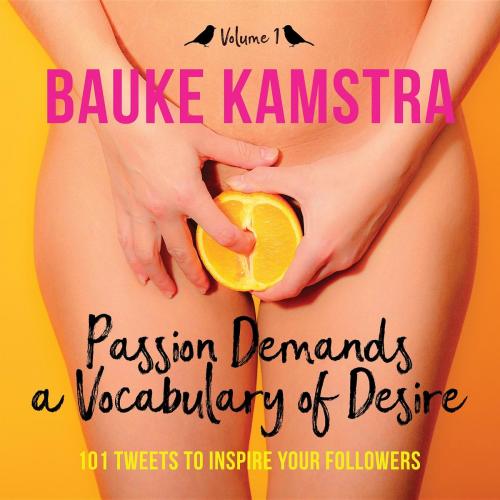 Cover of the book Passion Demands a Vocabulary of Desire by Bauke Kamstra, Vine Leaves Press