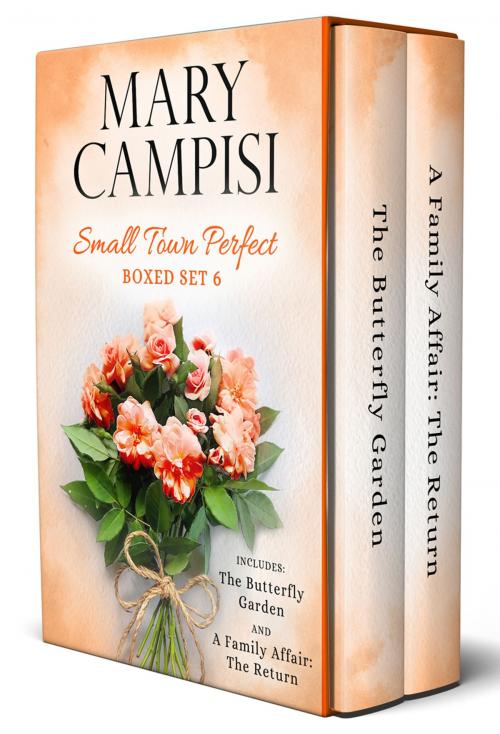 Cover of the book Small Town Perfect Boxed Set 6 by Mary Campisi, Mary Campisi Books, LLC