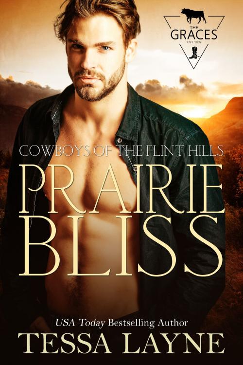 Cover of the book Prairie Bliss by Tessa Layne, Shady Layne Media