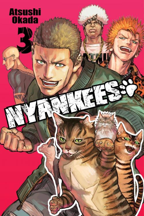 Cover of the book Nyankees, Vol. 3 by Atsushi Okada, Yen Press