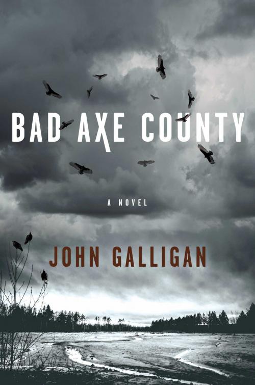Cover of the book Bad Axe County by John Galligan, Atria Books