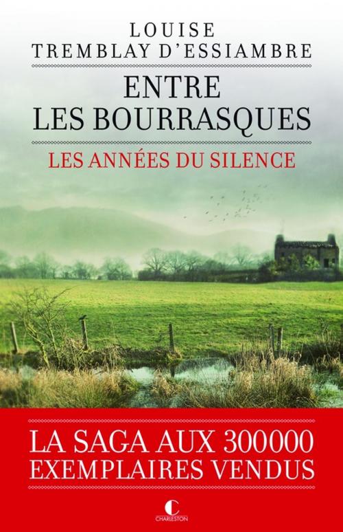 Cover of the book Entre les bourrasques by Louise Tremblay d'Essiambre, Éditions Charleston