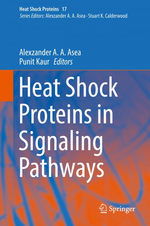 Cover of the book Heat Shock Proteins in Signaling Pathways by , Springer International Publishing