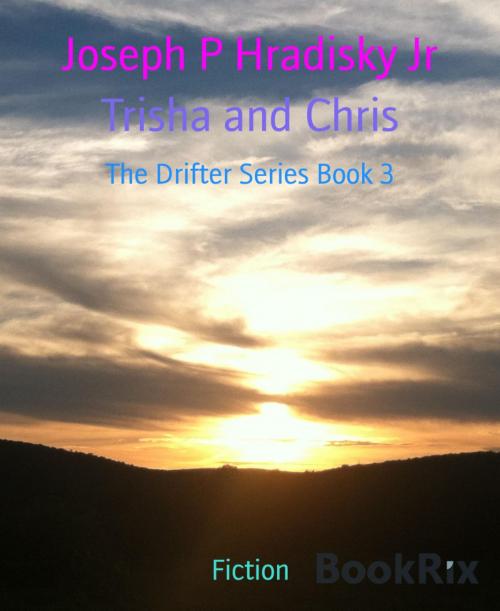 Cover of the book Trisha and Chris by Joseph P Hradisky Jr, BookRix