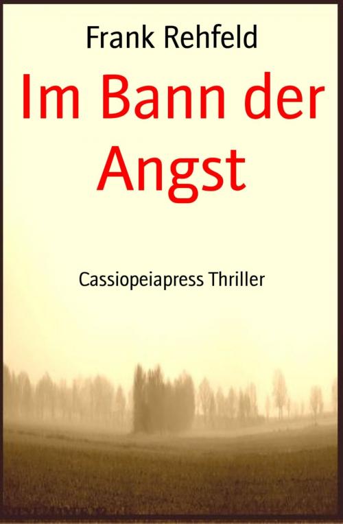 Cover of the book Im Bann der Angst by Frank Rehfeld, BookRix