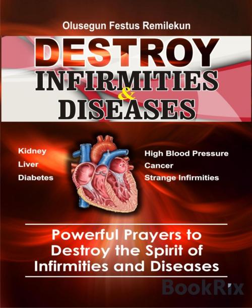 Cover of the book DESTROY INFIRMITIES & DISEASES by OLUSEGUN FESTUS REMILEKUN, BookRix