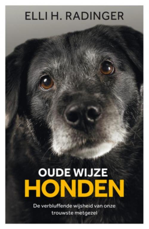 Cover of the book Oude wijze honden by Elli Radinger, Bruna Uitgevers B.V., A.W.