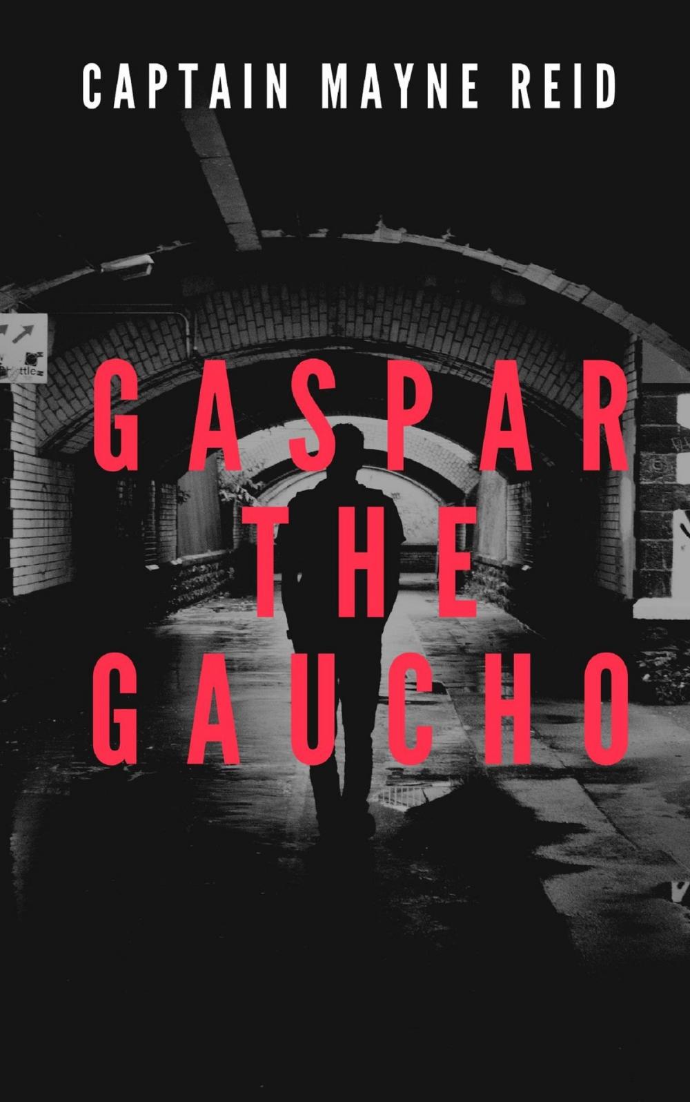 Big bigCover of Gaspar the Gaucho