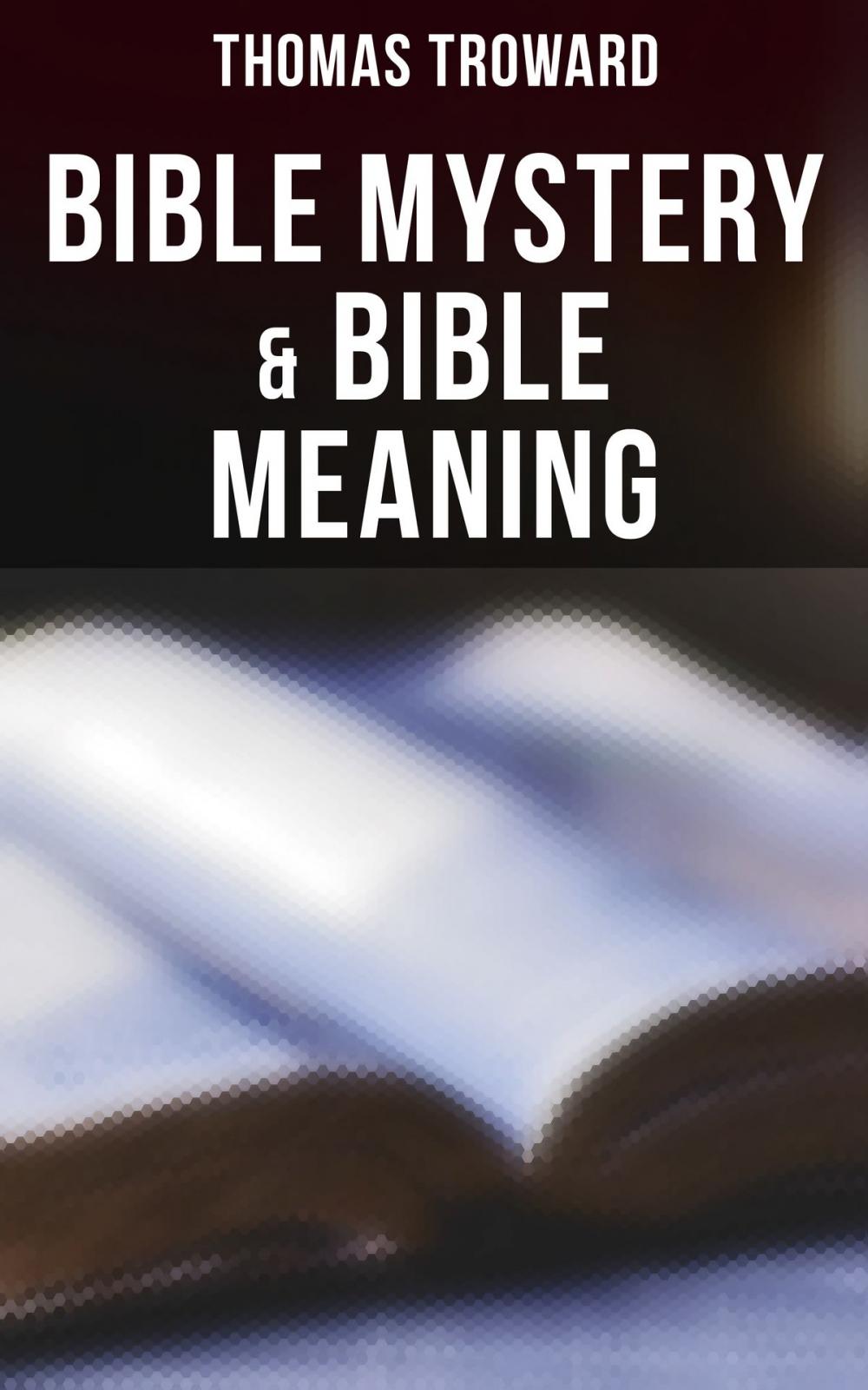 Big bigCover of Bible Mystery & Bible Meaning
