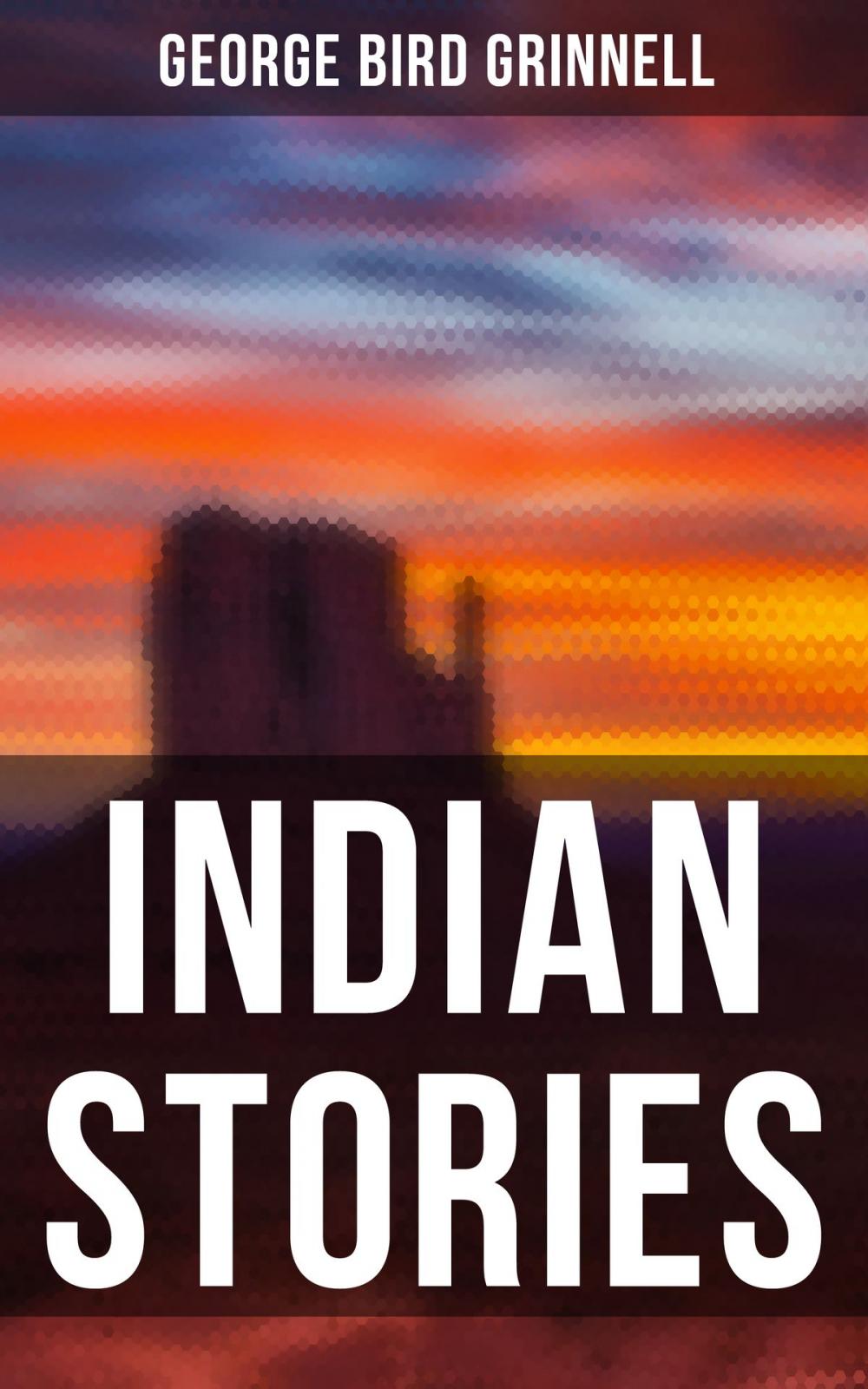 Big bigCover of Indian Stories