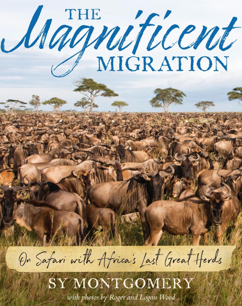Big bigCover of The Magnificent Migration