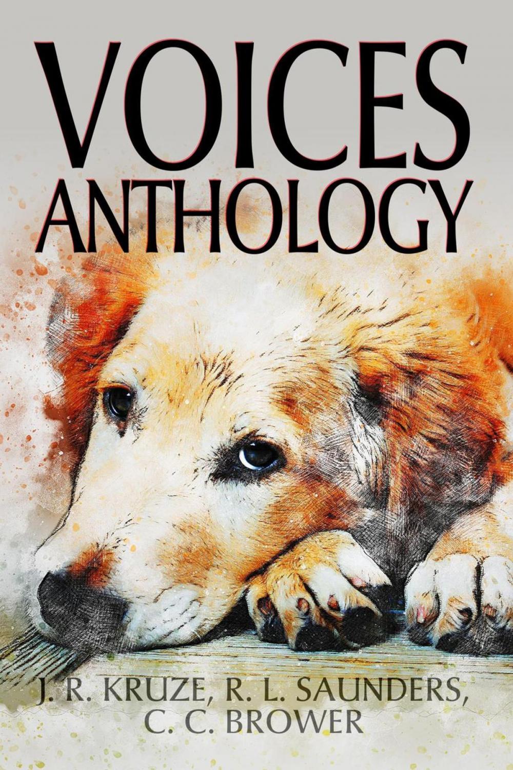 Big bigCover of Voices Anthology