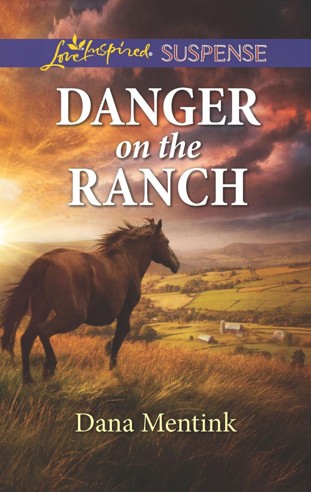 Big bigCover of Danger on the Ranch