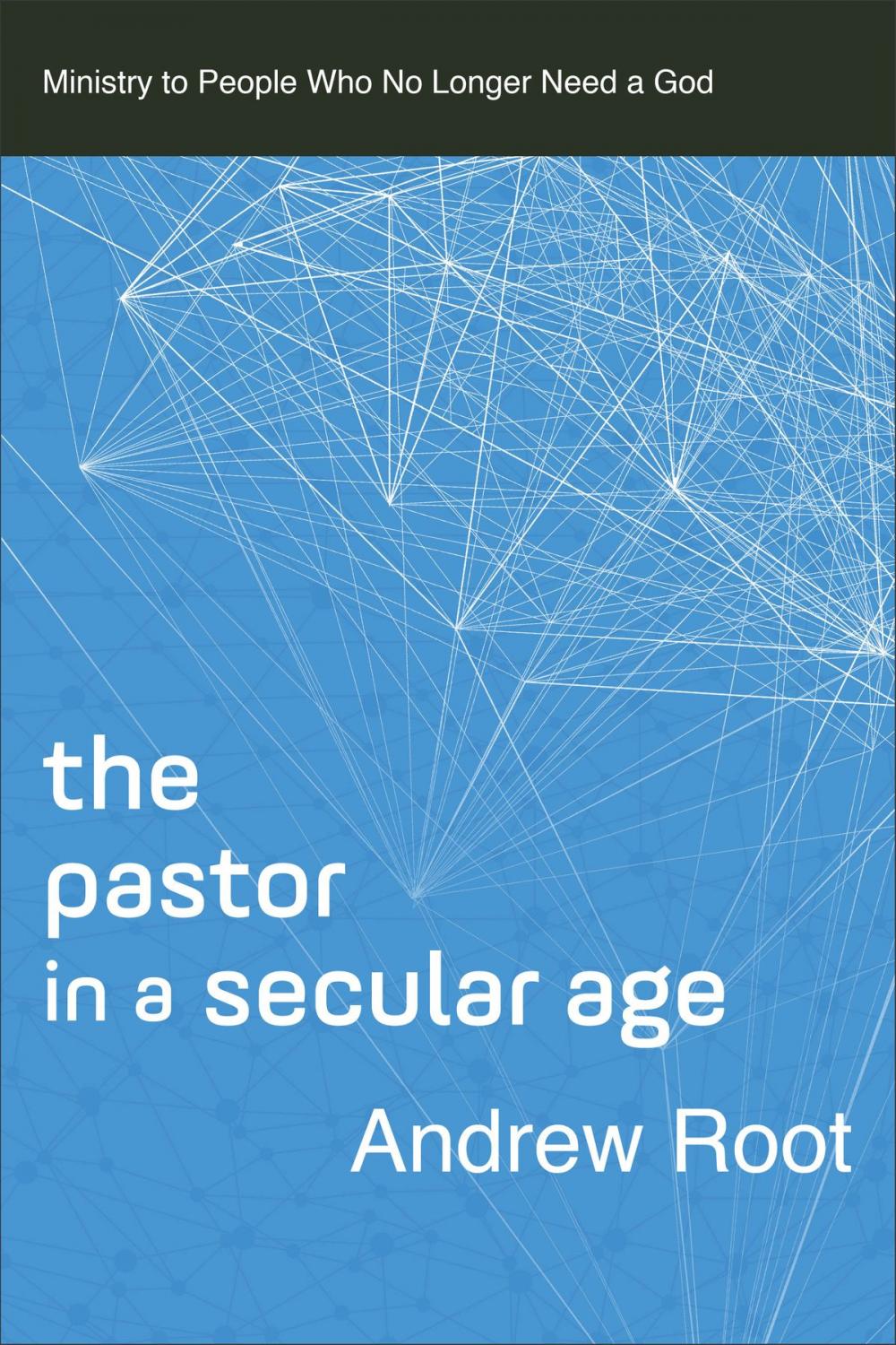 Big bigCover of The Pastor in a Secular Age (Ministry in a Secular Age Book #2)
