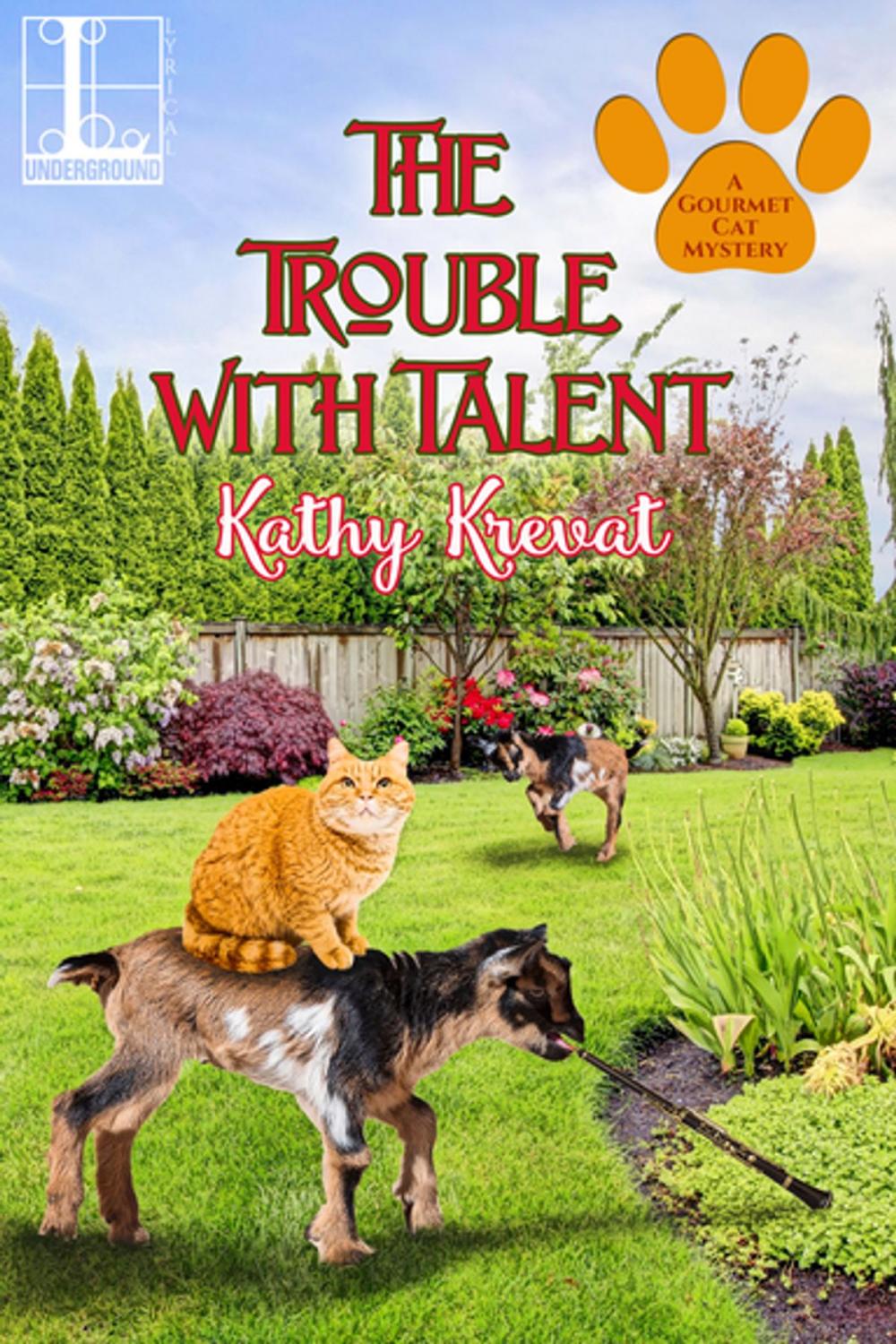 Big bigCover of The Trouble with Talent
