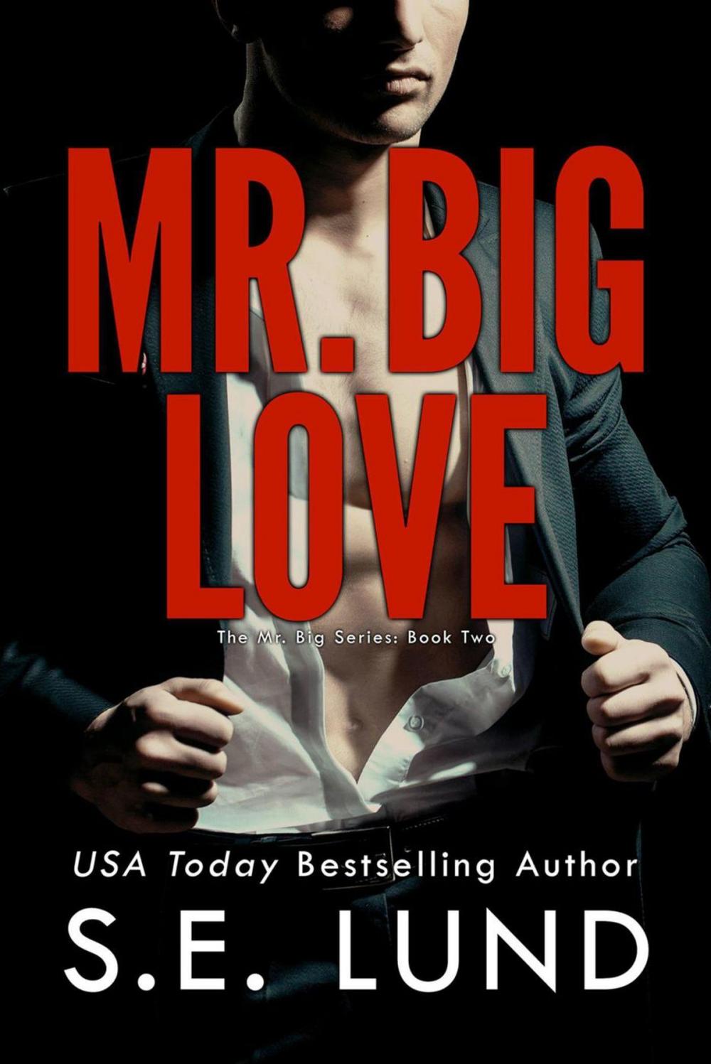 Big bigCover of Mr. Big Love