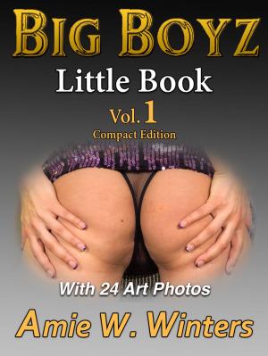 Cover of the book BIG BOYZ Little Book by Melissa Mcclone