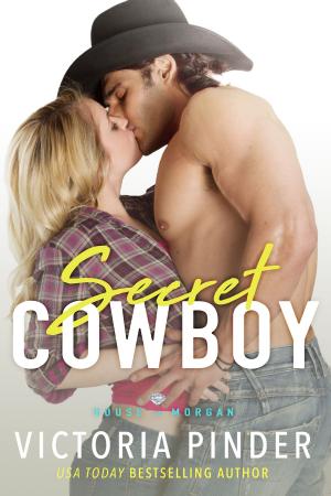Book cover of Secret Cowboy