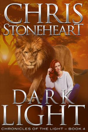 Cover of the book Dark Light by John Klobucher
