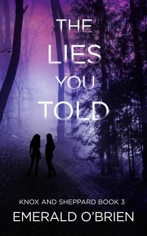 Book cover of The Lies You Told