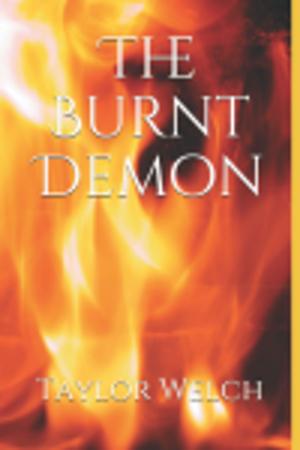 Cover of the book The Burnt Demon by Rob Summerfield