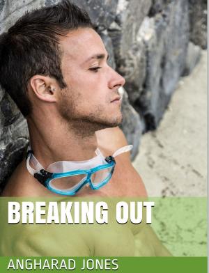 Cover of the book Breaking Out by Olivia Hessen