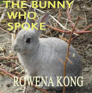 Book cover of The Bunny Who Spoke