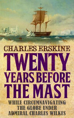 Cover of the book Twenty Years Before the Mast by Dave Birrell