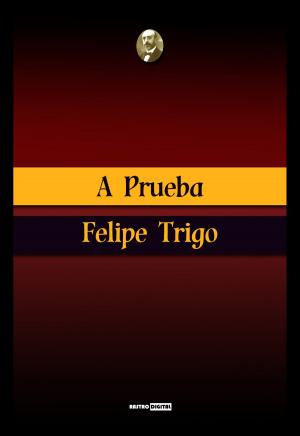 Book cover of A prueba