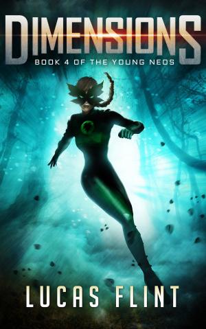 Cover of the book Dimensions by Katie McCoy