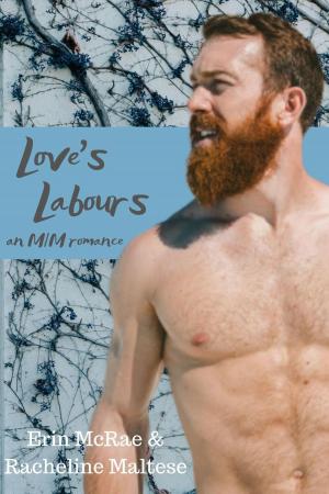 Cover of the book Love's Labours Box Set: Books 1 & 2 by Lynn Carmer