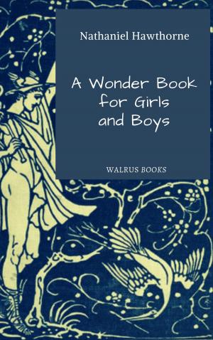 Cover of the book A Wonder-Book for Girls and Boys by J.M. Diener