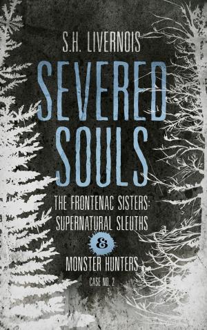 Cover of the book Severed Souls by Janet Eaves