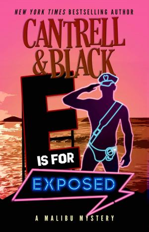 Cover of the book "E" is for Exposed by Keith Gaston