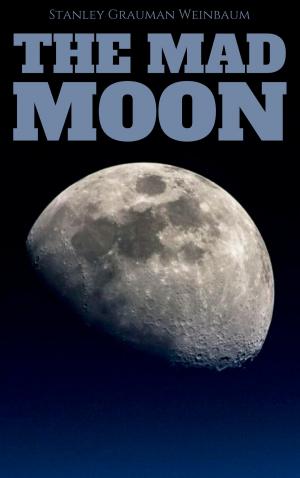 Cover of the book The Mad Moon by Charles de Montesquieu
